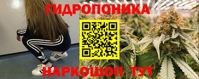 прущие крисы Аргун